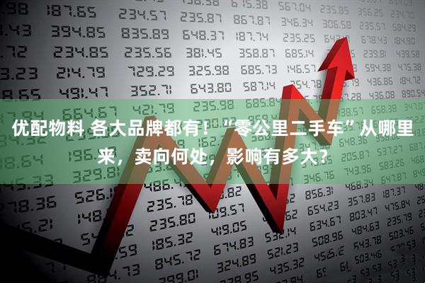 优配物料 各大品牌都有！“零公里二手车”从哪里来，卖向何处，影响有多大？