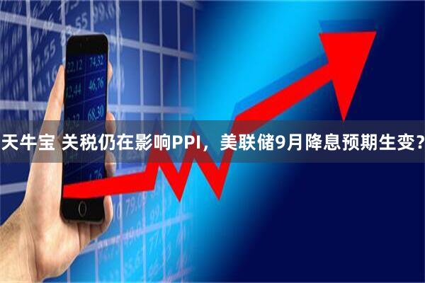 天牛宝 关税仍在影响PPI，美联储9月降息预期生变？