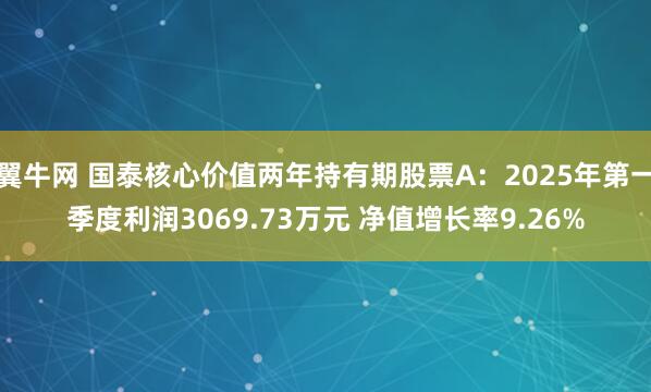 翼牛网 国泰核心价值两年持有期股票A：2025年第一季度利润3069.73万元 净值增长率9.26%