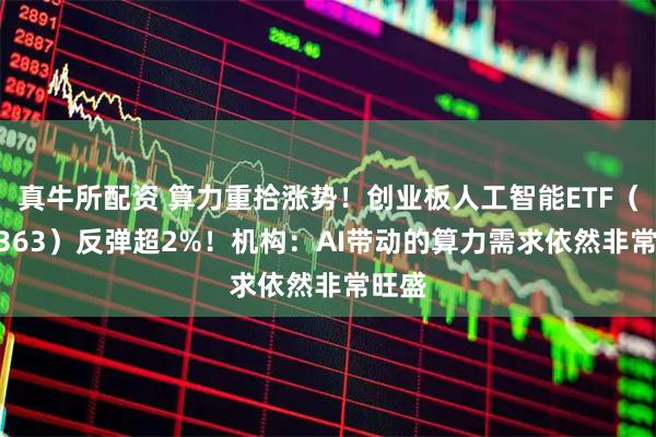 真牛所配资 算力重拾涨势!创业板人工智能ETF(159363)反弹超2%!机构:AI带动的算力需求依然非常旺盛