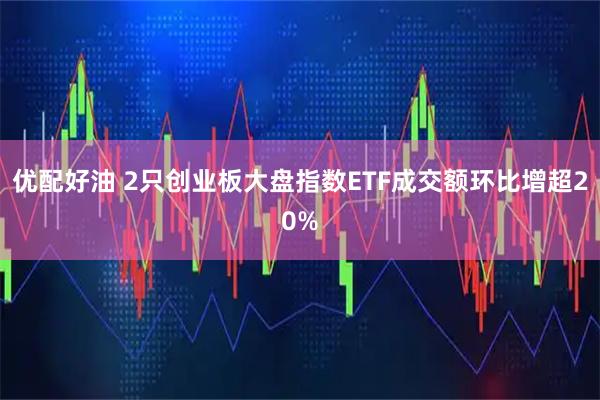 优配好油 2只创业板大盘指数ETF成交额环比增超20%