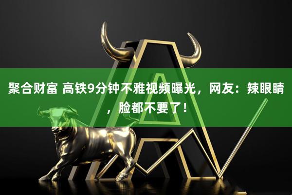 聚合财富 高铁9分钟不雅视频曝光，网友：辣眼睛，脸都不要了！