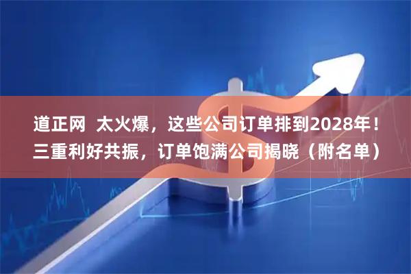 道正网 太火爆,这些公司订单排到2028年!三重利好共振,订单饱满公司揭晓(附名单)